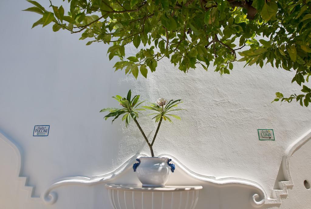 Villa Boheme Exclusive Luxury Suites Positano Extérieur photo